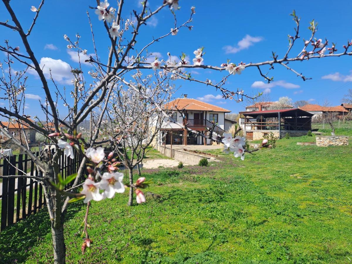 Casa Lambuh Otel Dış mekan fotoğraf