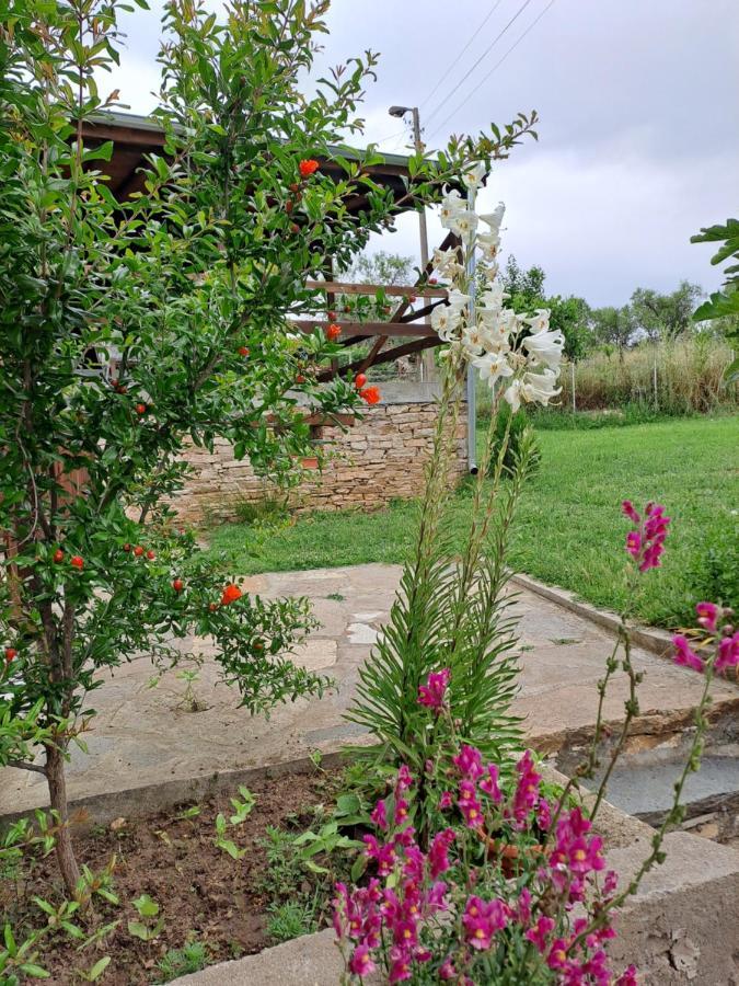 Casa Lambuh Otel Dış mekan fotoğraf